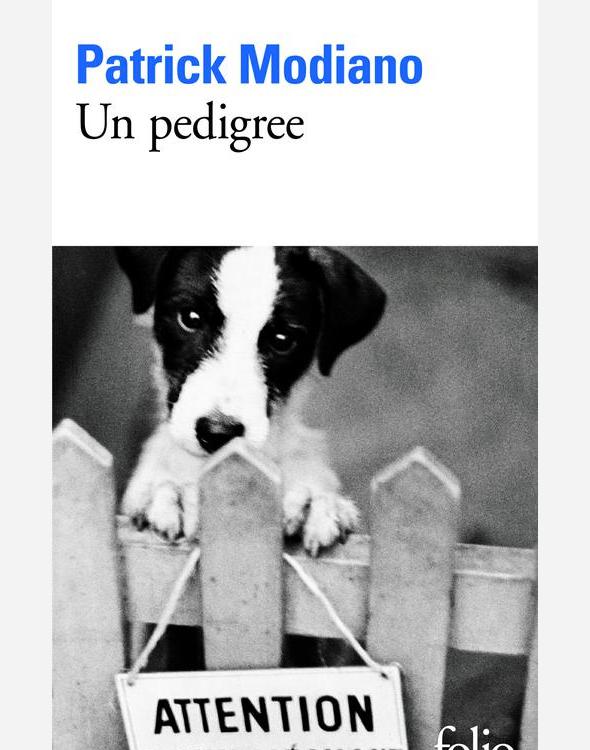 Un pedigree