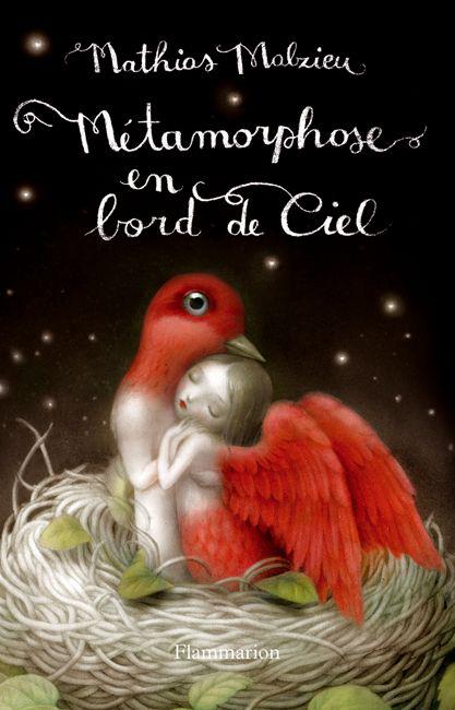 Métamorphose en Bord De Ciel