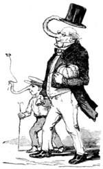 Histoire véridique du canard