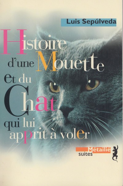 Histoire De La Mouette Et Du Chat
