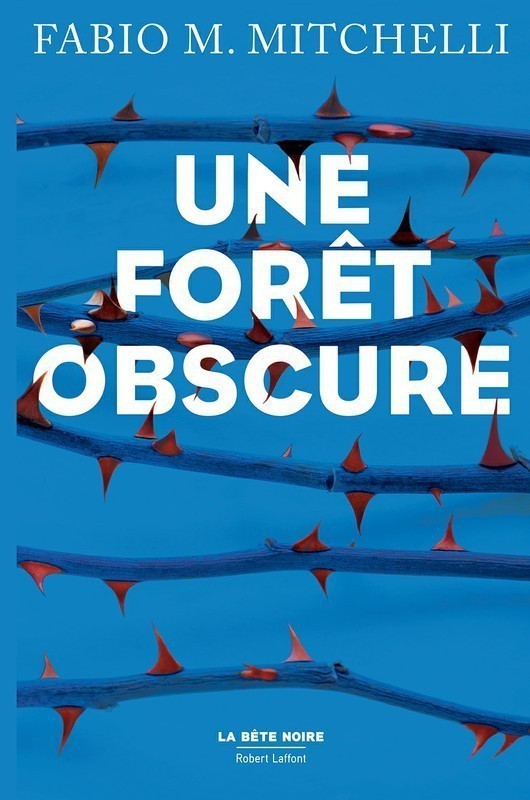 Une Forêt Obscure