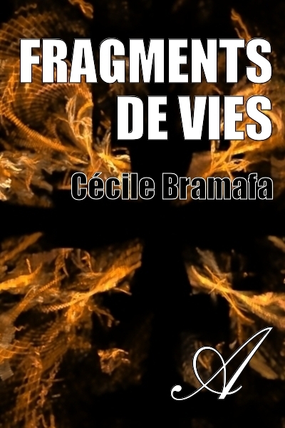 Fragments de vies