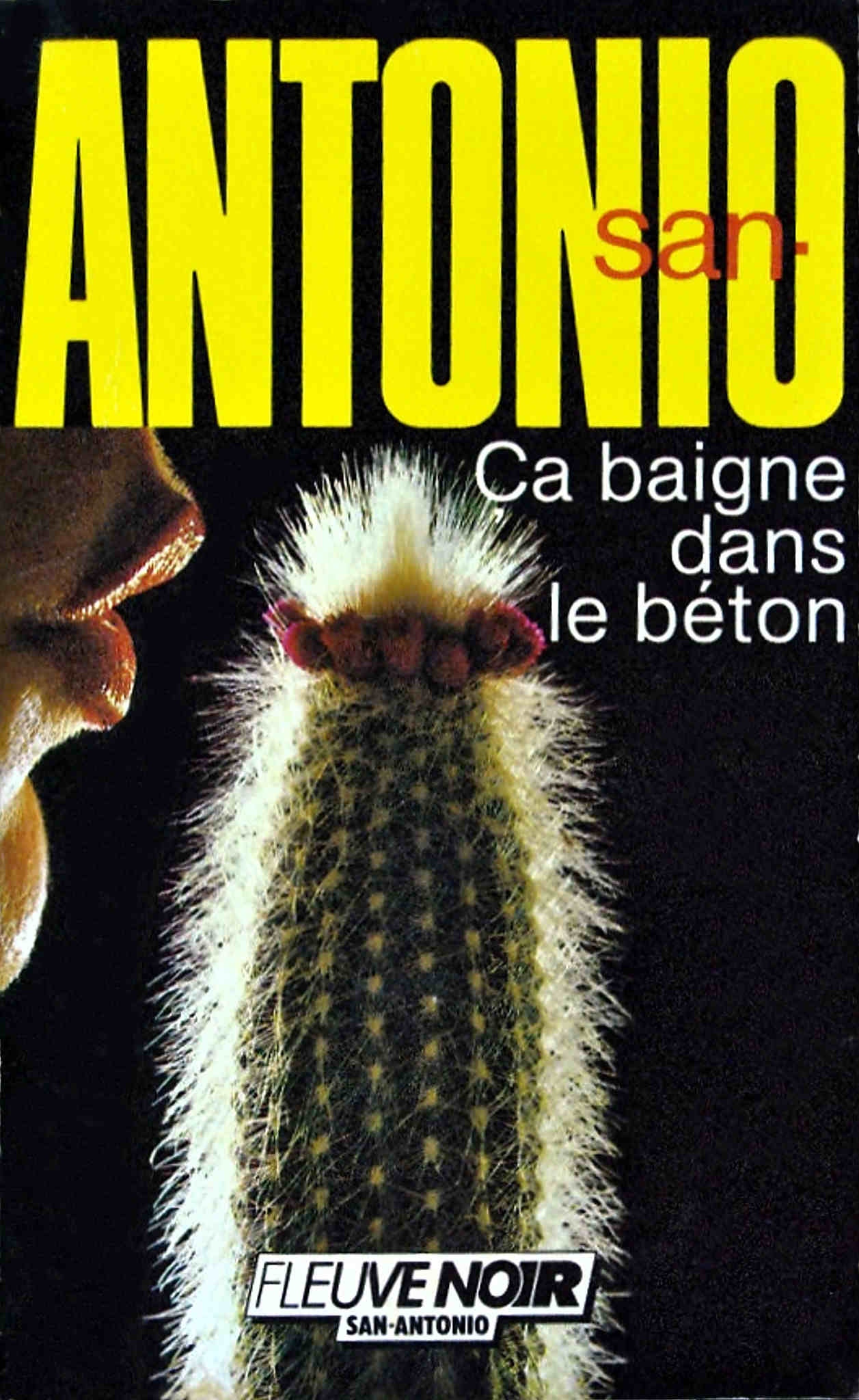 Ça baigne dans le béton