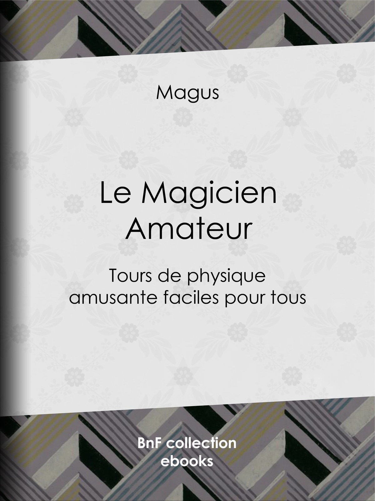 Le Magicien Amateur - Tours de physique amusante faciles pour tous