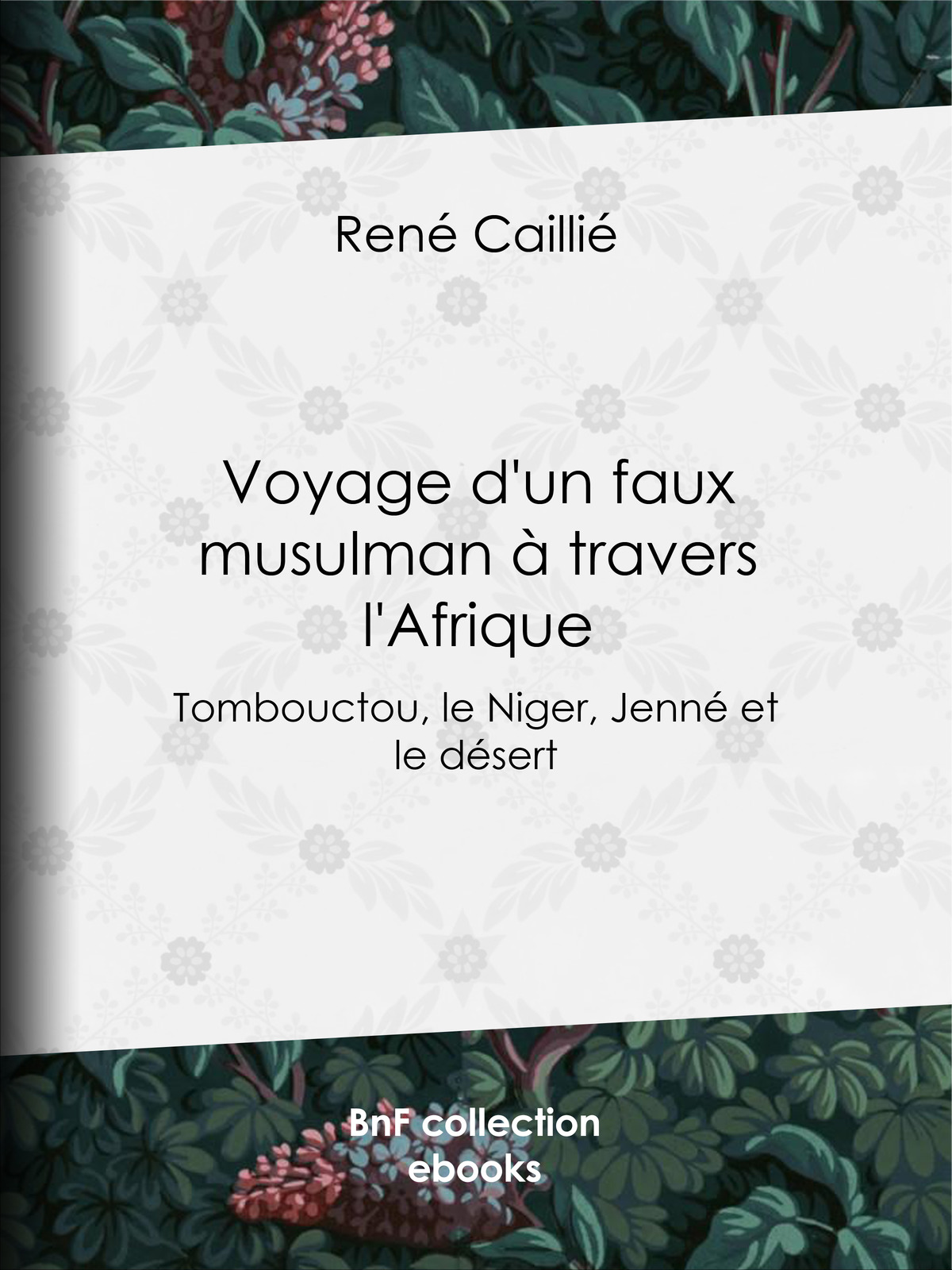 Voyage d’un faux musulman à travers l’Afrique - Tombouctou, le Niger, Jenné et le désert