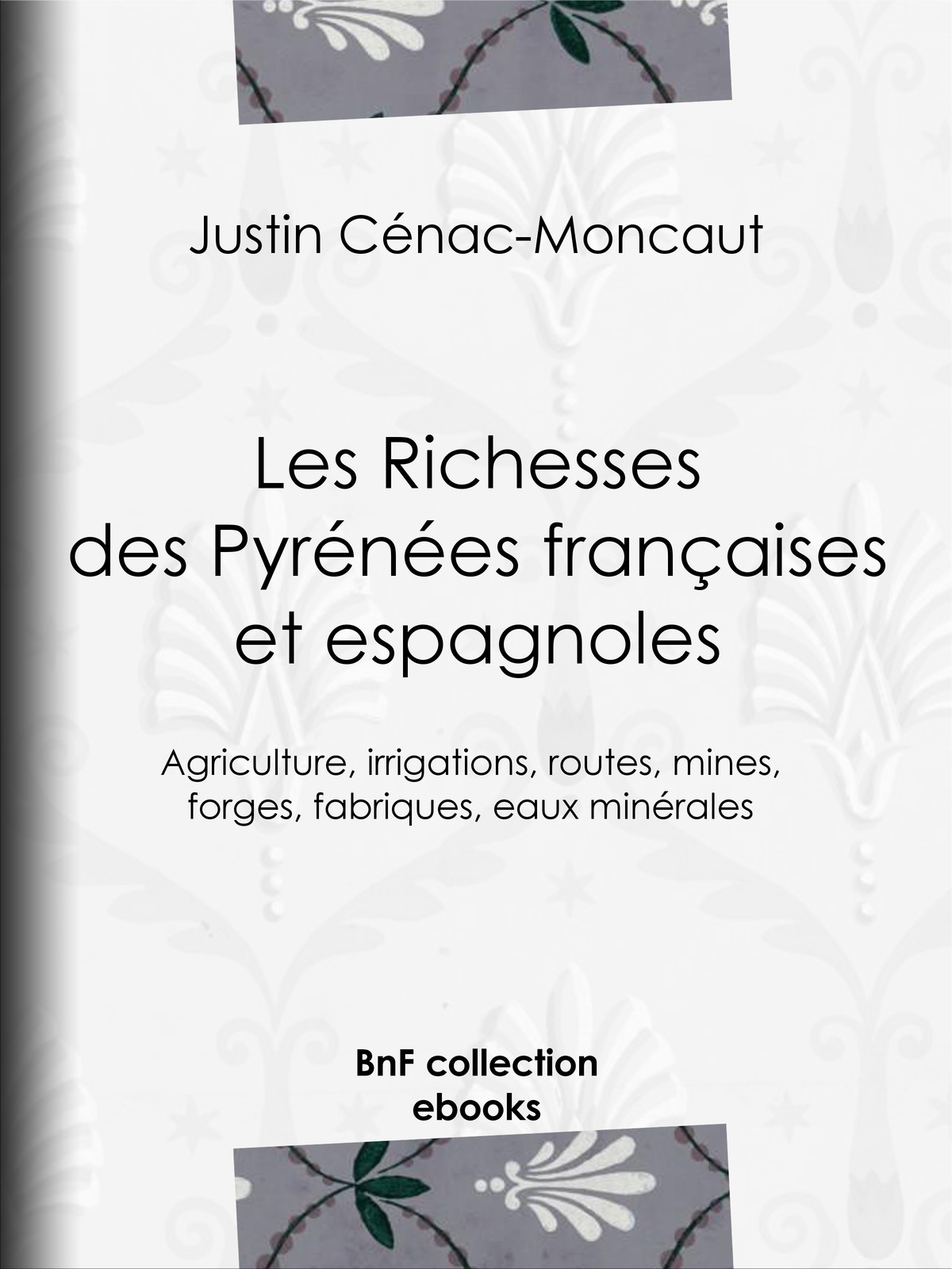 Les Richesses des Pyrénées françaises et espagnoles - Ce qu’elles furent, ce qu’elles sont, ce qu’elles peuvent être - Agriculture, irrigations, routes, mines, forges, fabriques, eaux minérales