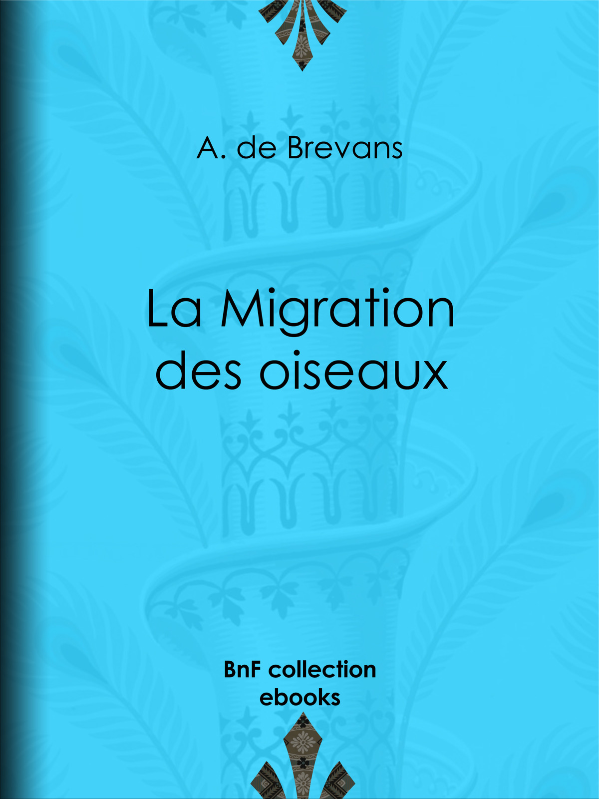 La Migration des oiseaux