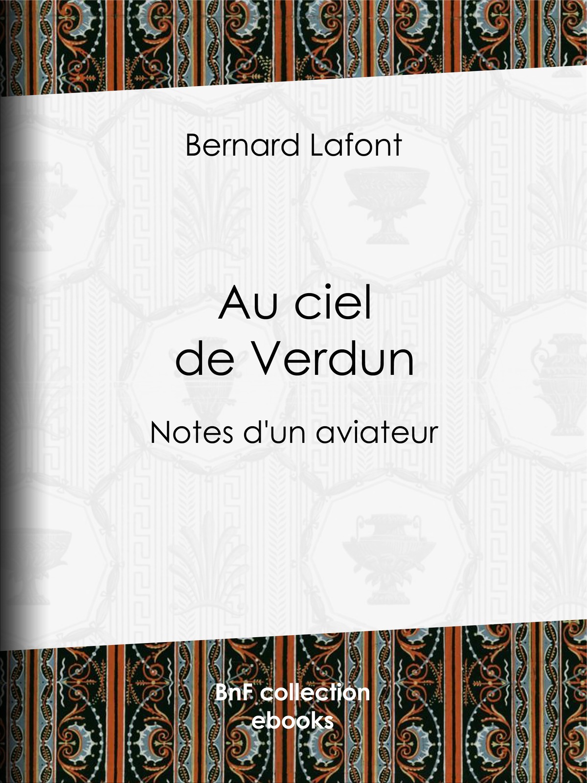 Au ciel de Verdun - Notes d'un aviateur