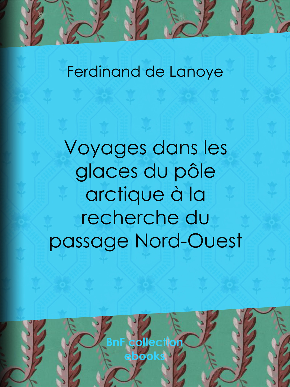 Voyages dans les glaces du pôle arctique à la recherche du passage Nord-Ouest - Extraits des relations de Sir John Ross, Edward Parry... Mac Clure et autres navigateurs célèbres