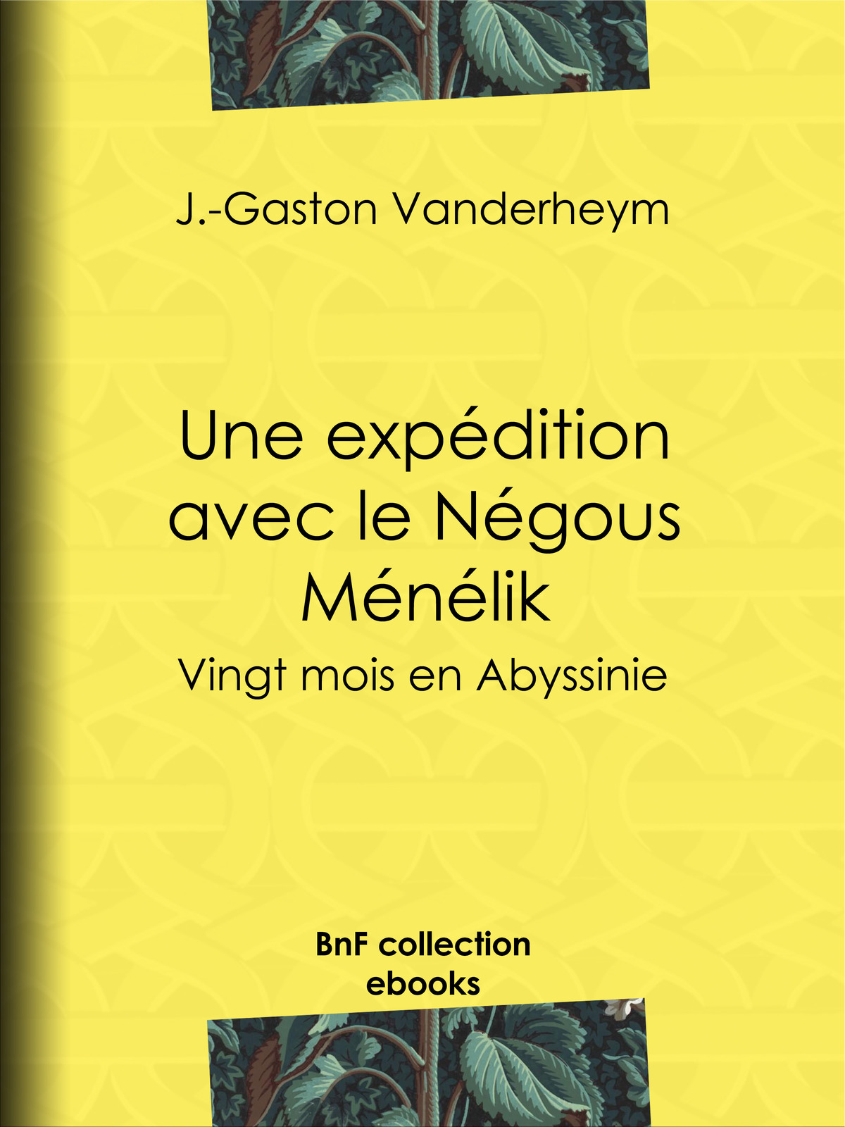 Une expédition avec le Négous Ménélik - Vingt mois en Abyssinie