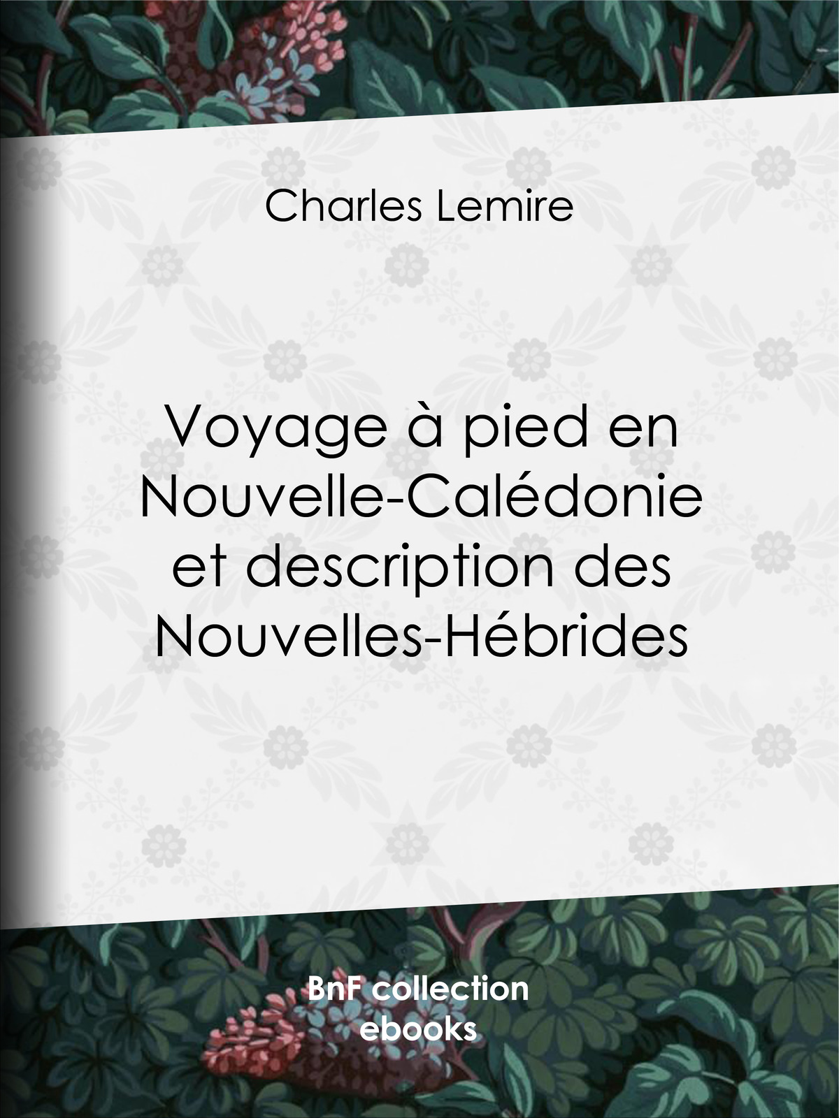 Voyage à pied en Nouvelle-Calédonie et Description des Nouvelles-Hébrides
