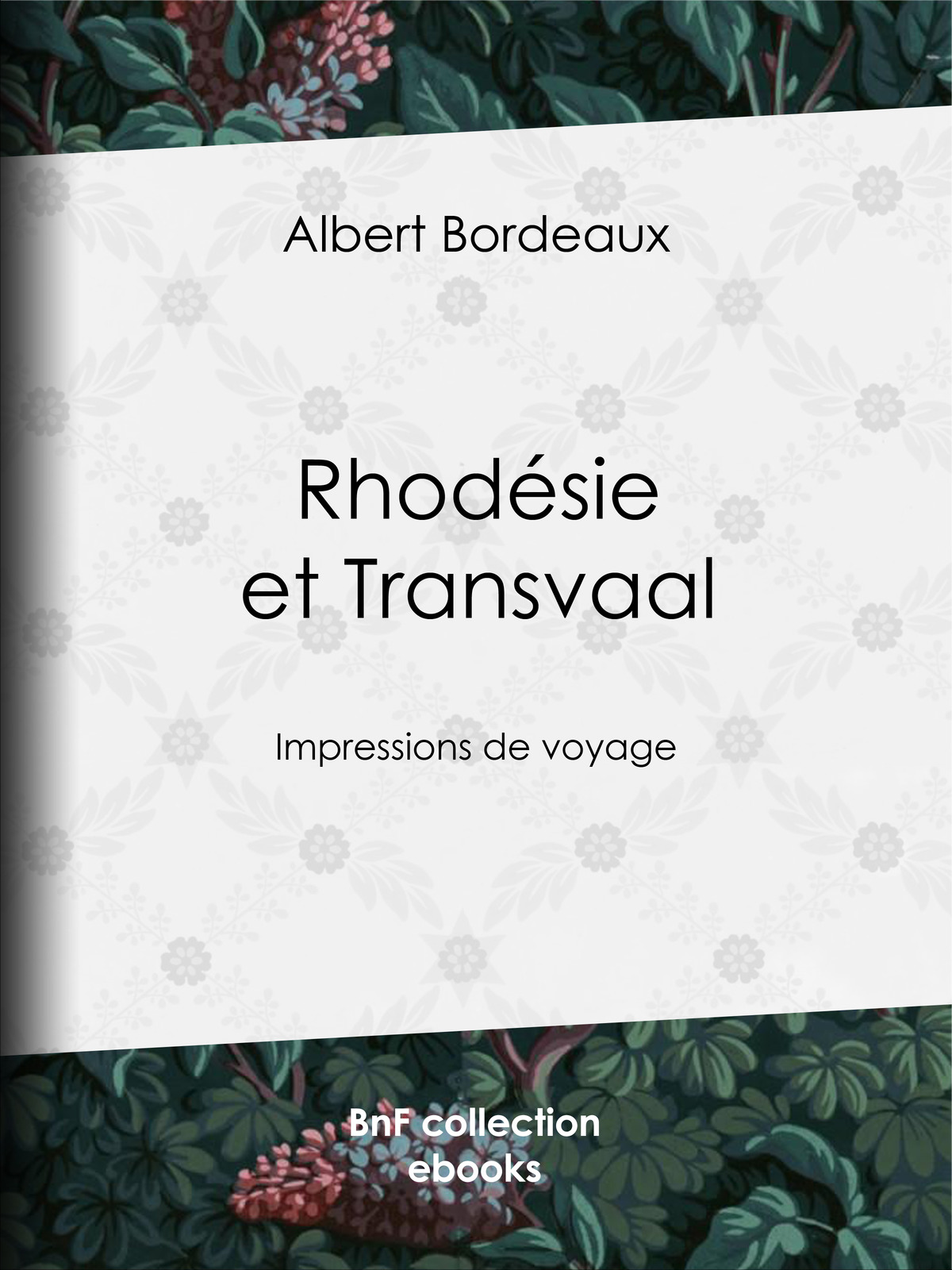Rhodésie et Transvaal - Impressions de voyage