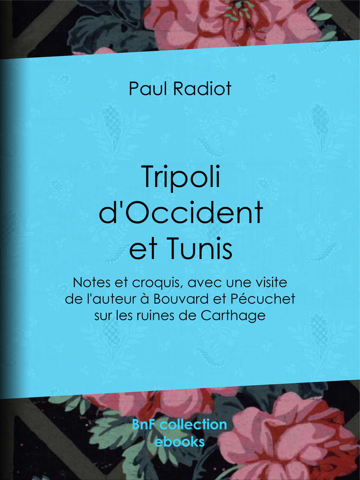 Tripoli d’Occident et Tunis - Notes et croquis, avec une visite de l’auteur à Bouvard et Pécuchet sur les ruines de Carthage