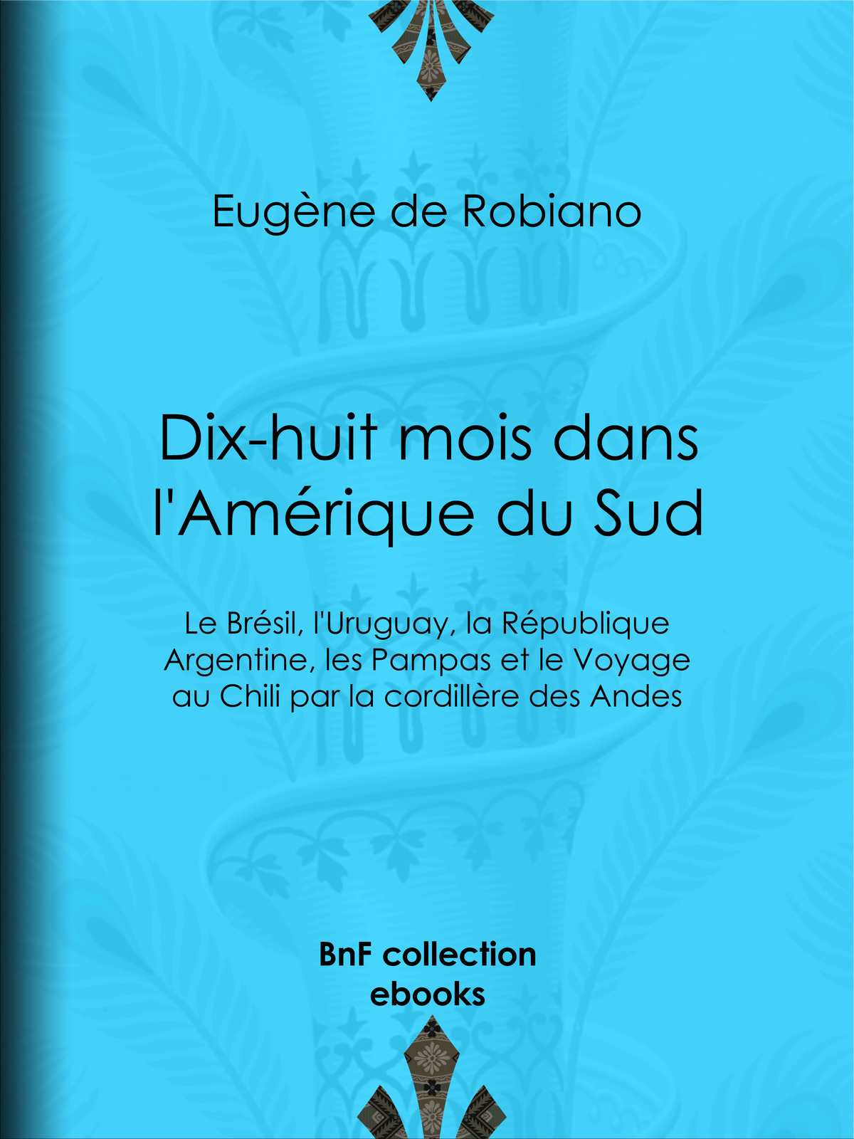 Dix-huit mois dans l'Amérique du Sud - Le Brésil, l'Uruguay, la République Argentine, les Pampas et le Voyage au Chili par la cordillère des Andes