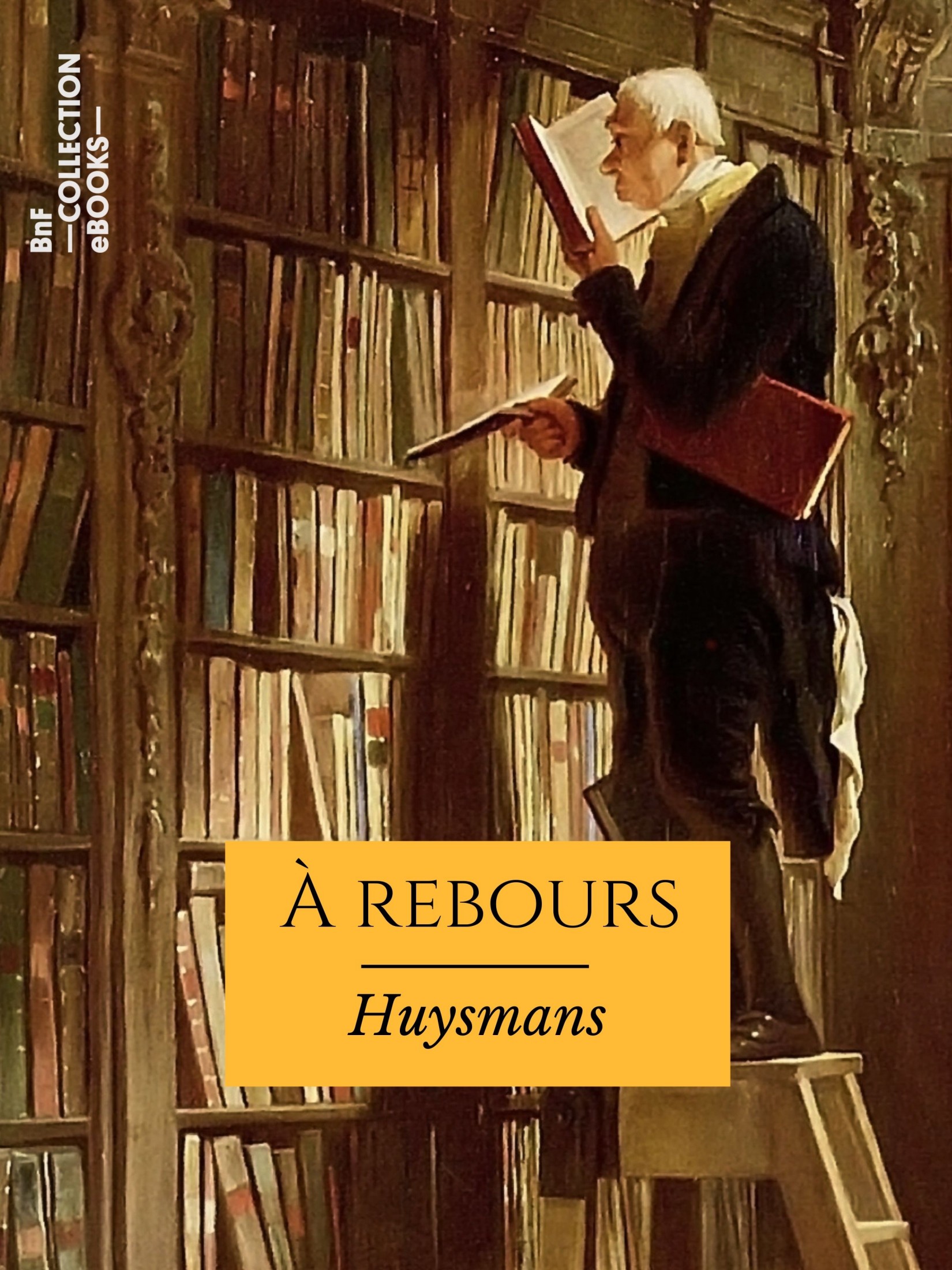 A Rebours - Avec une préface de l'auteur écrite vingt ans après le roman