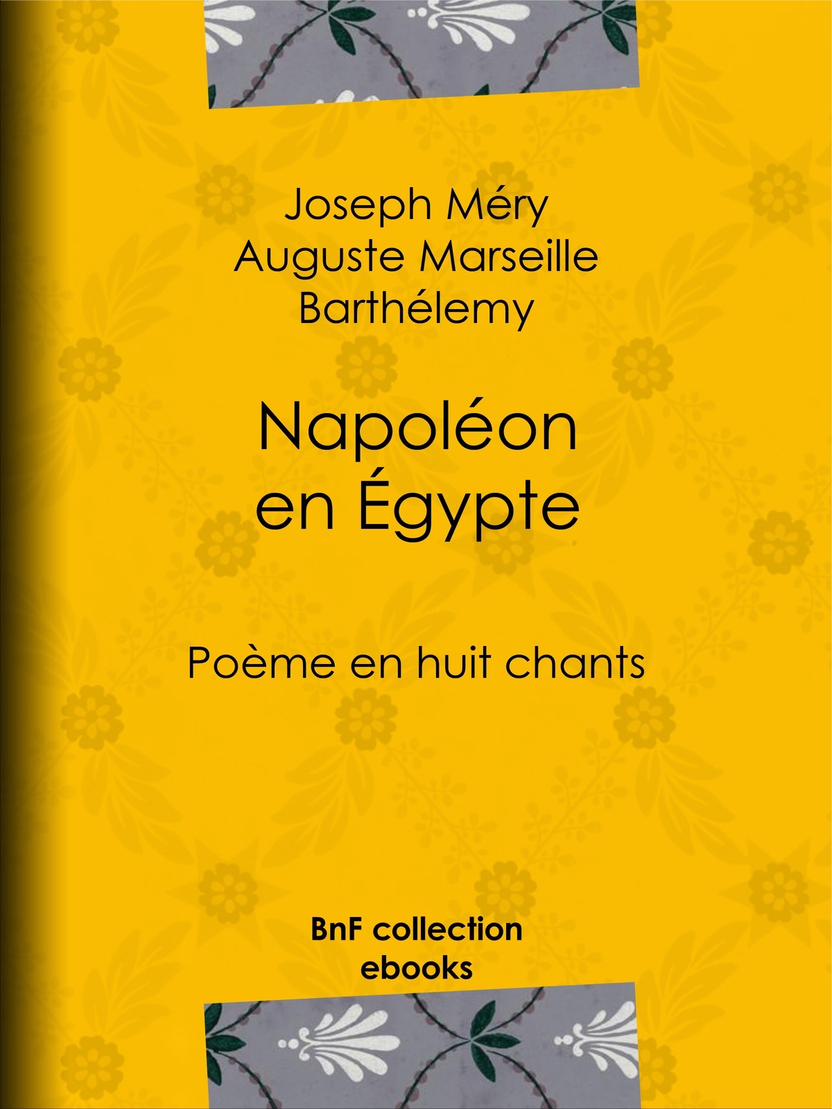 Napoléon en Égypte - Poème en huit chants