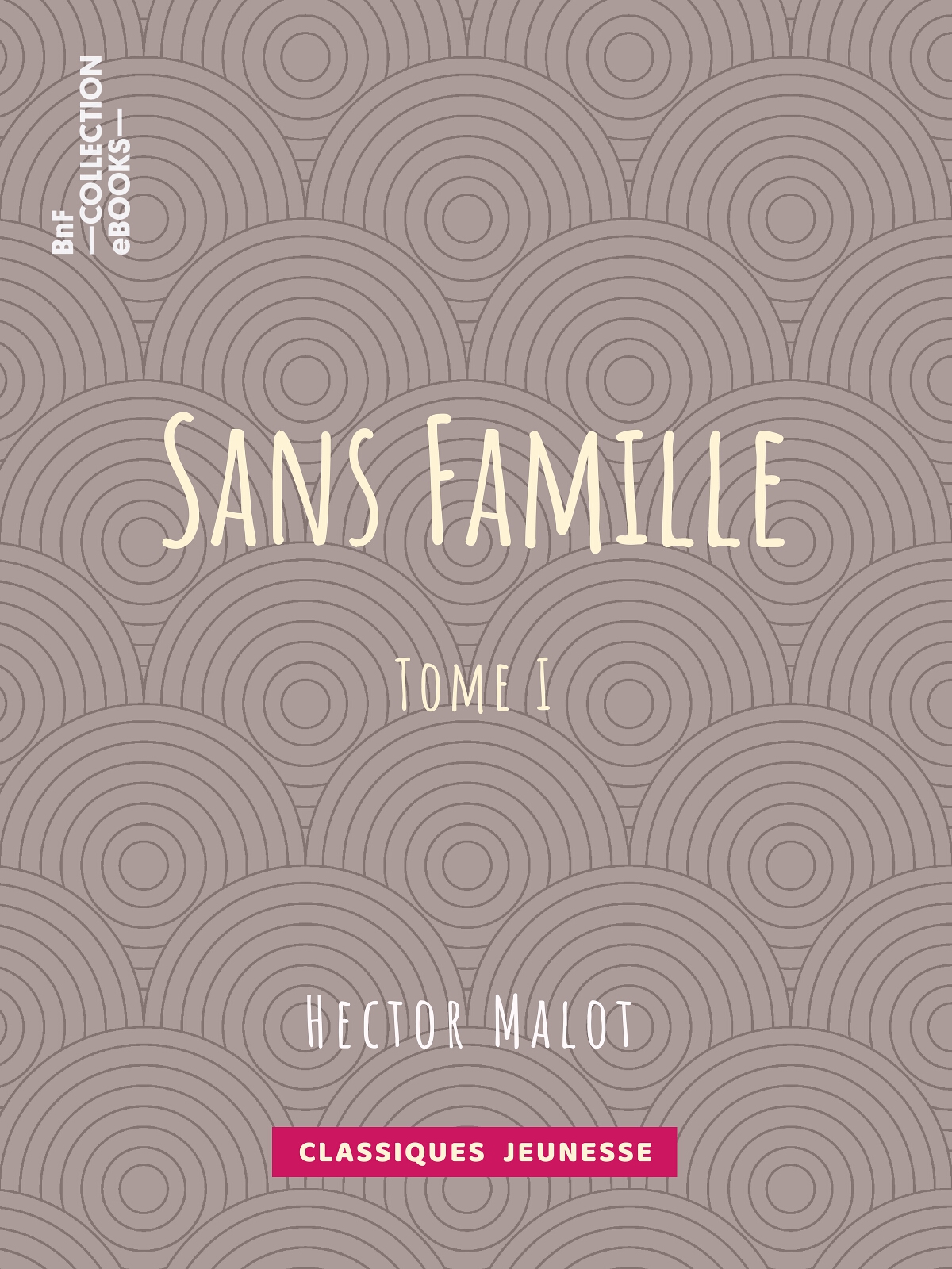 Sans famille - Tome I