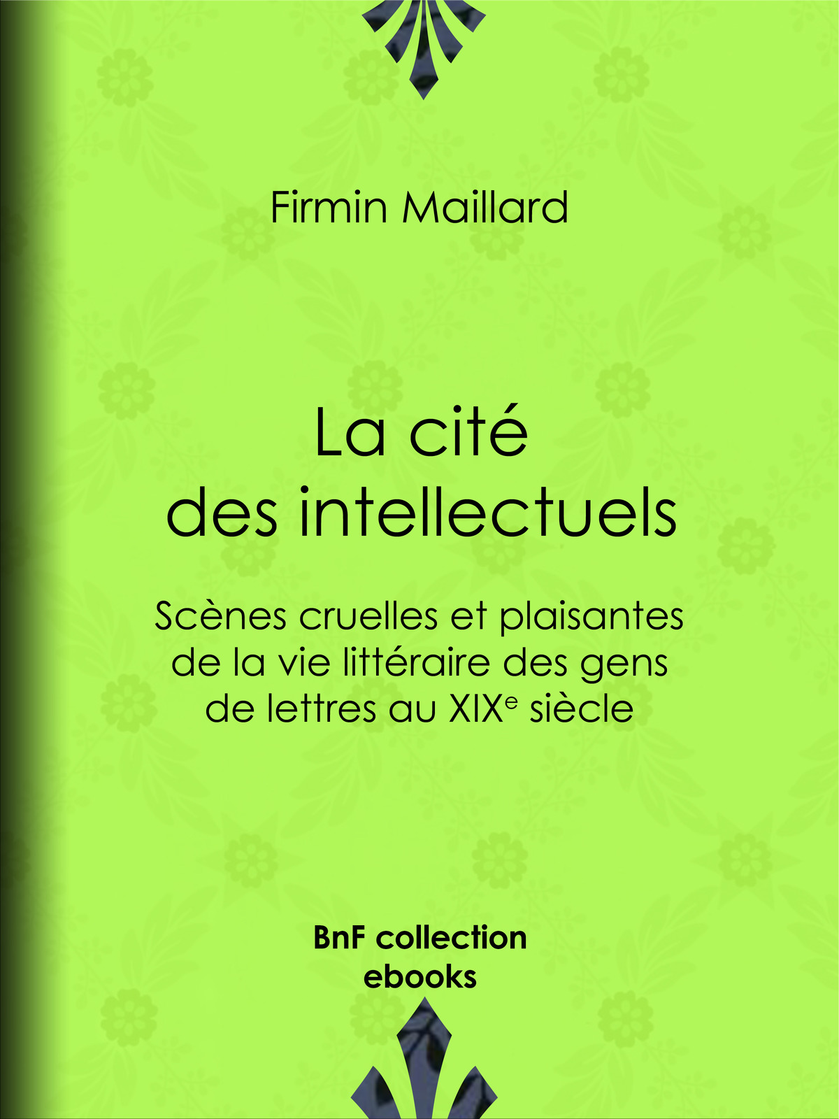 La cité des intellectuels - Scènes cruelles et plaisantes de la vie littéraire des gens de lettres au XIXe siècle