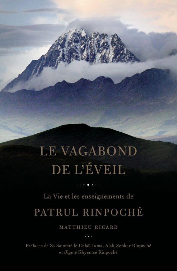 Le vagabond de l'éveil
