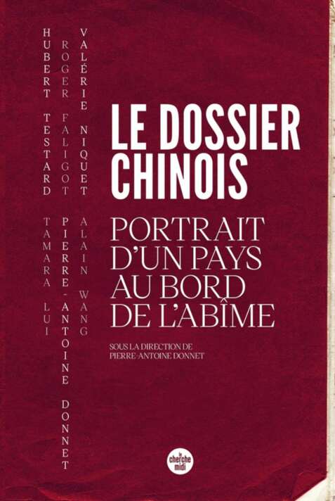 Le Dossier chinois