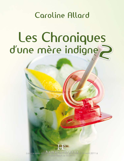 Les Chroniques D'Une Mère Indigne