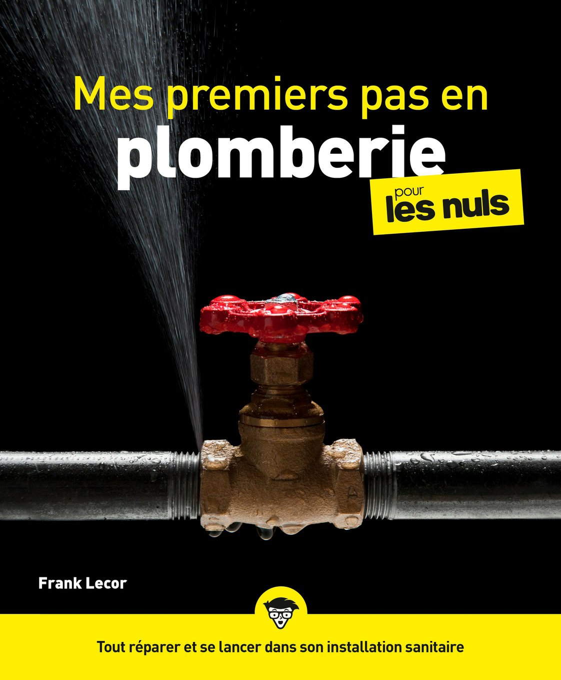 Mes premiers pas en plomberie pourles Nuls