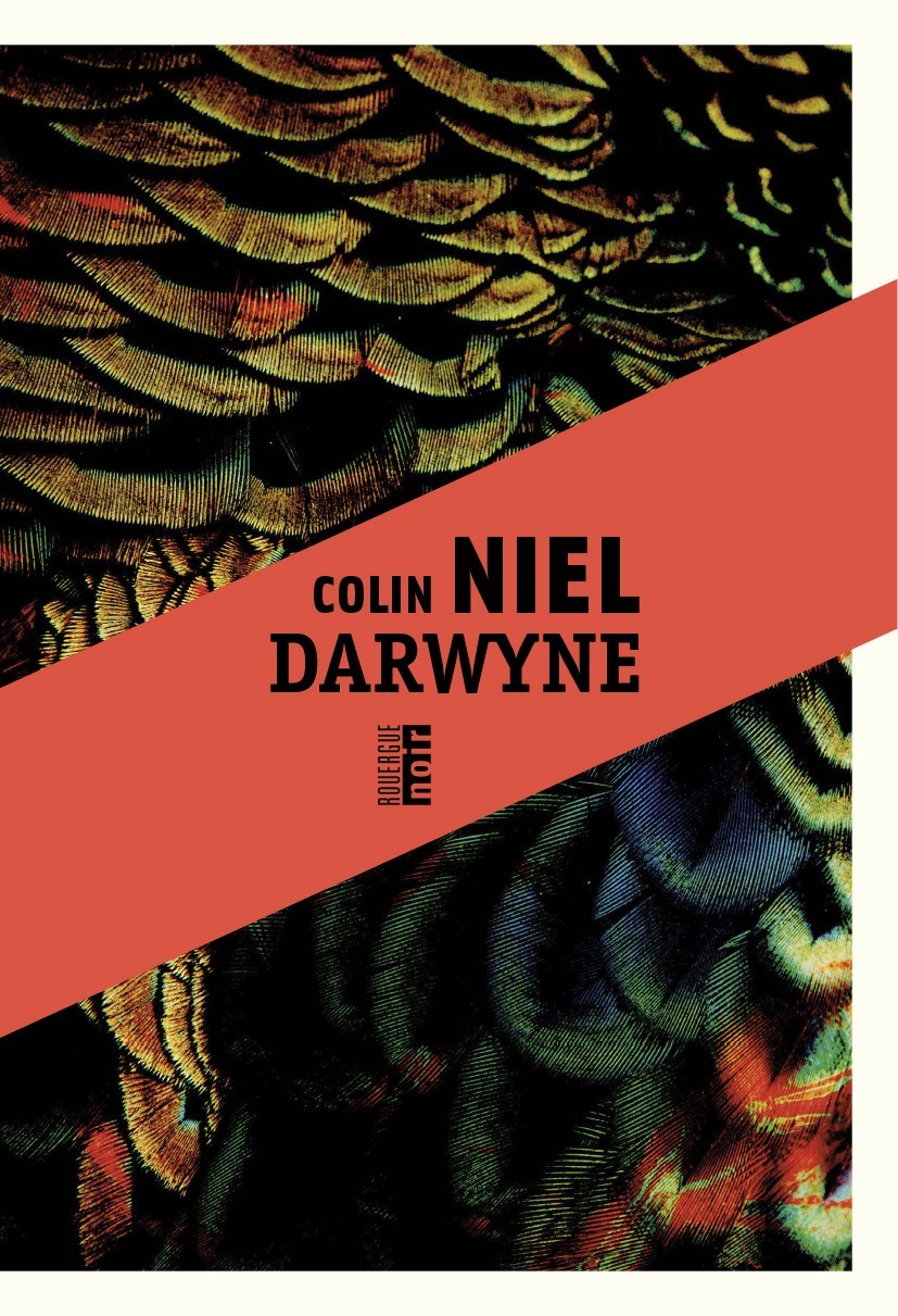 Darwyne