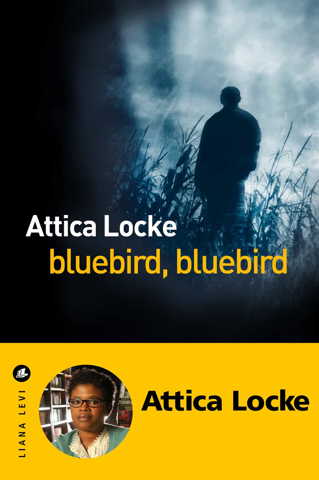 Bluebird, Bluebird