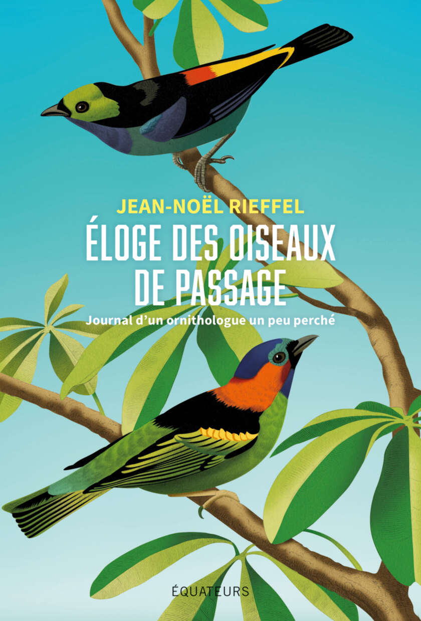 Éloge des oiseaux de passage - Journal d'un ornithologue enthousiaste