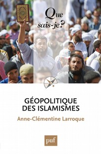 Géopolitique des islamismes