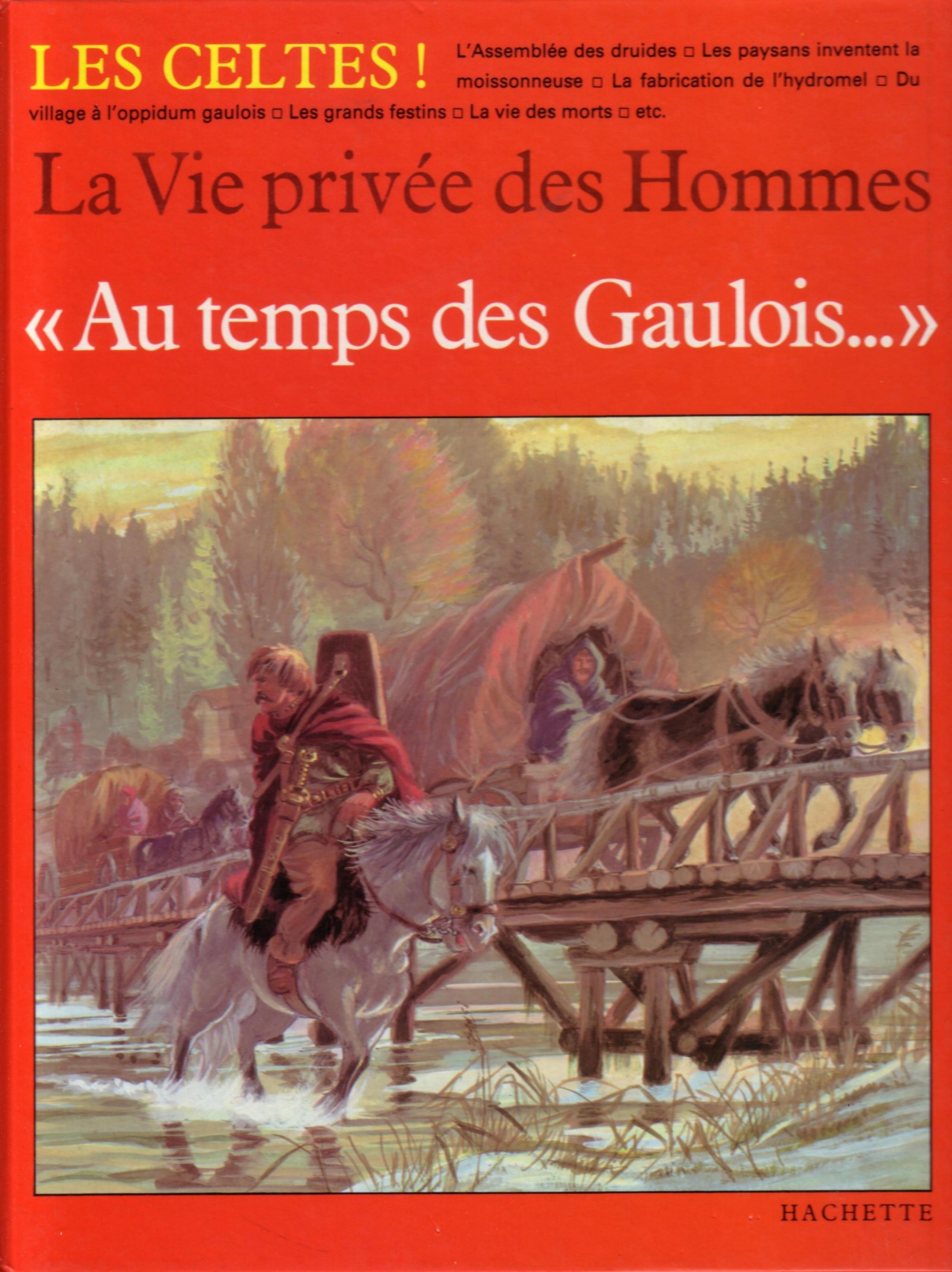 Au temps des Gaulois