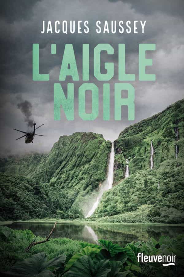 L'Aigle noir