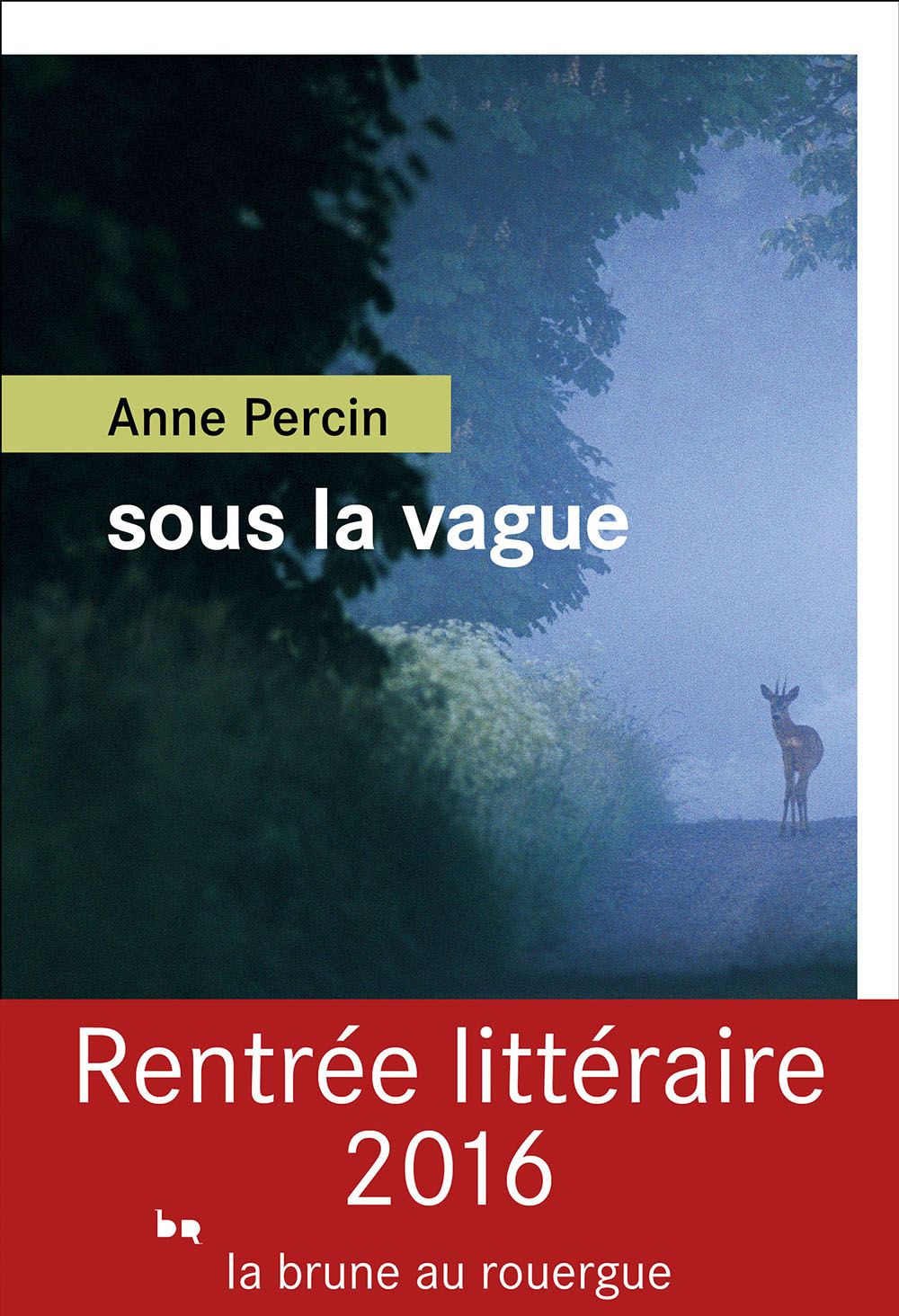 Sous la vague (RL16)