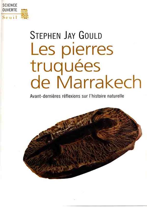 Les pierres truquées de Marrakech