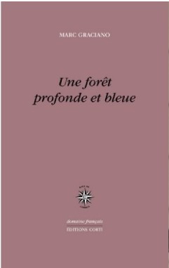 Une forêt profonde et bleue