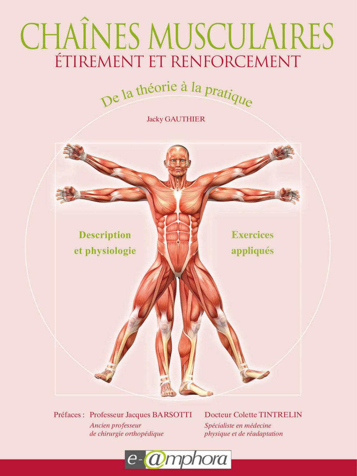 Chaines musculaires - Etirement et renforcement : De la théorie à la pratique