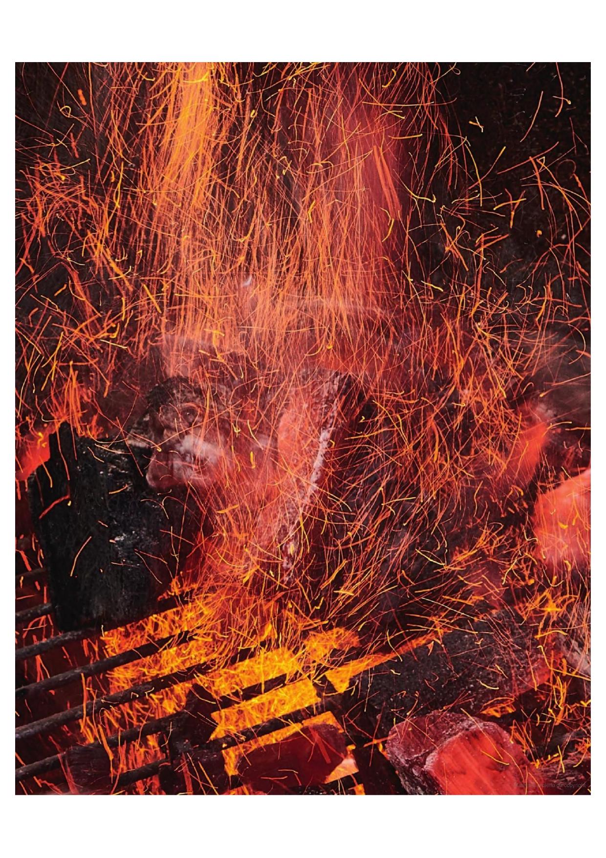 La Nouvelle Bible du barbecue Weber (2019)