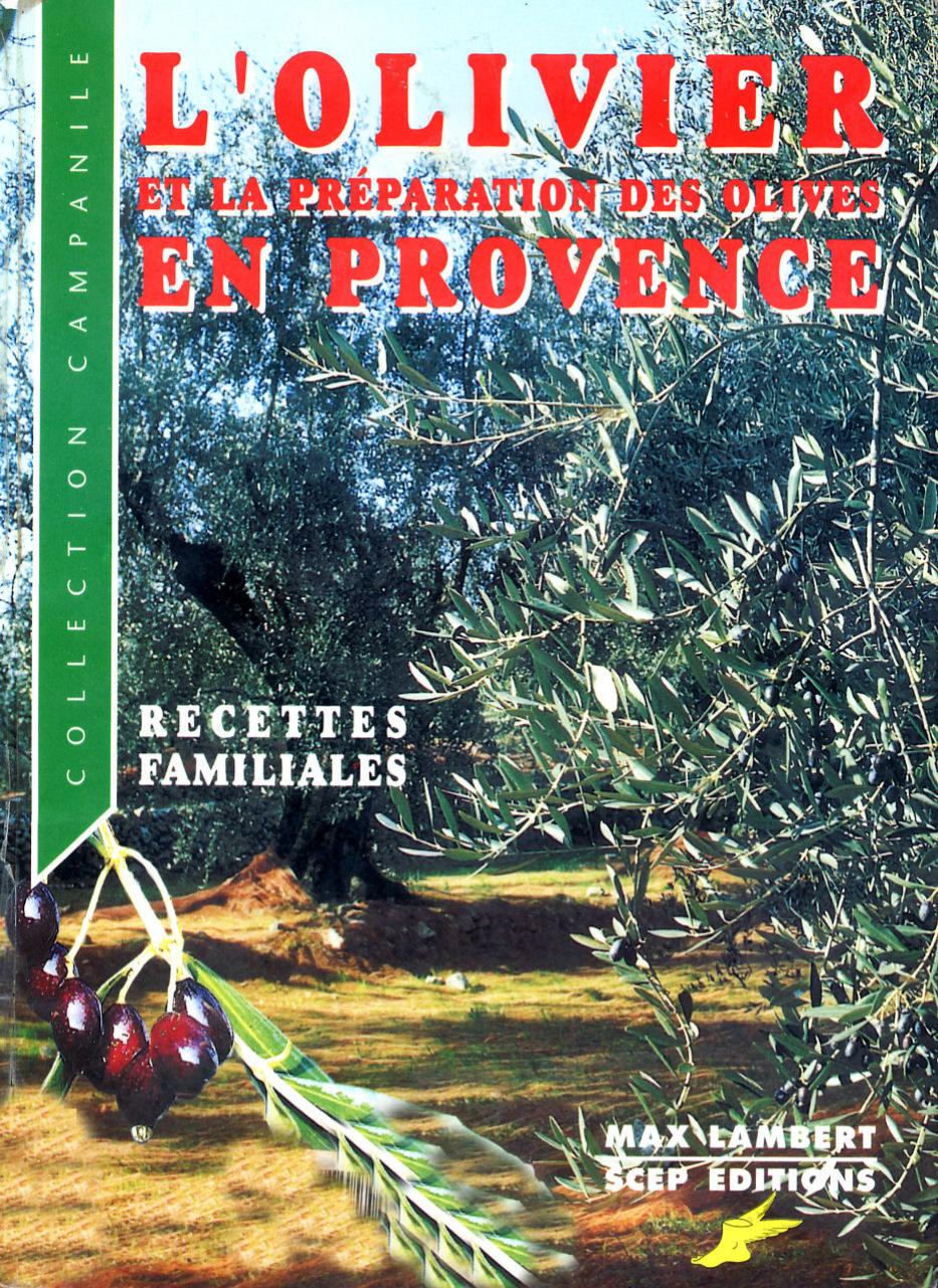 L'olivier et la préparation des olives en provence