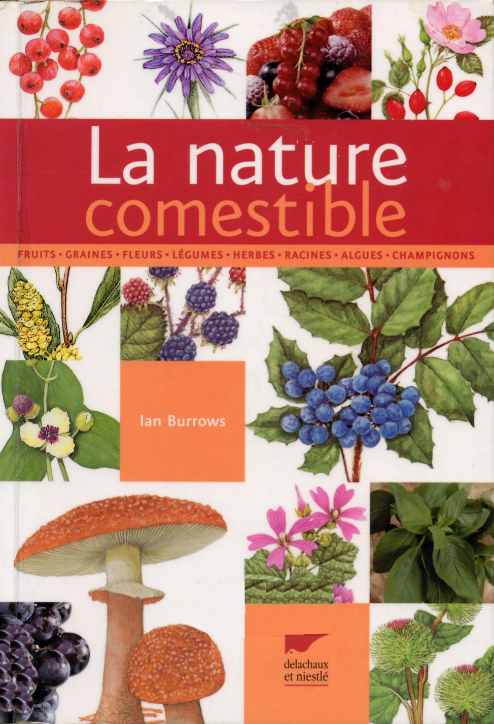 la nature comestible - fruit graines fleurs legumes herbes algues champignons