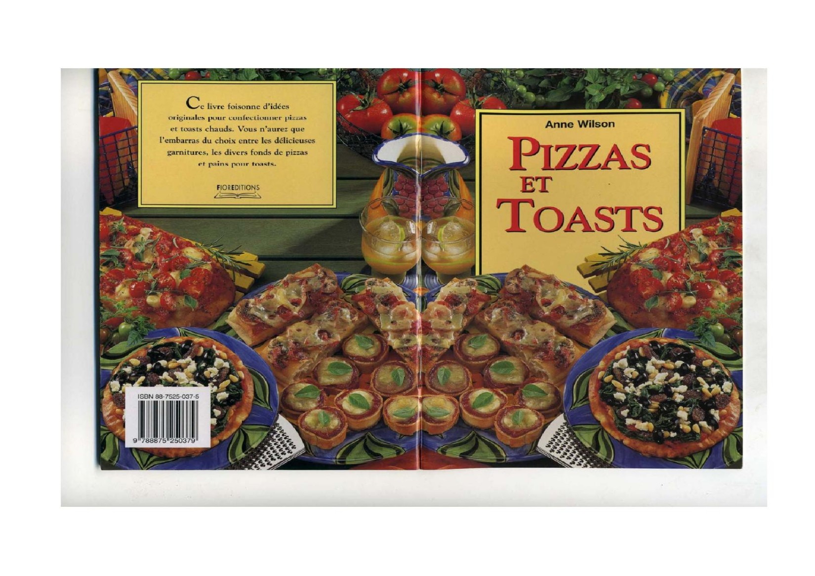 Pizzas et toasts