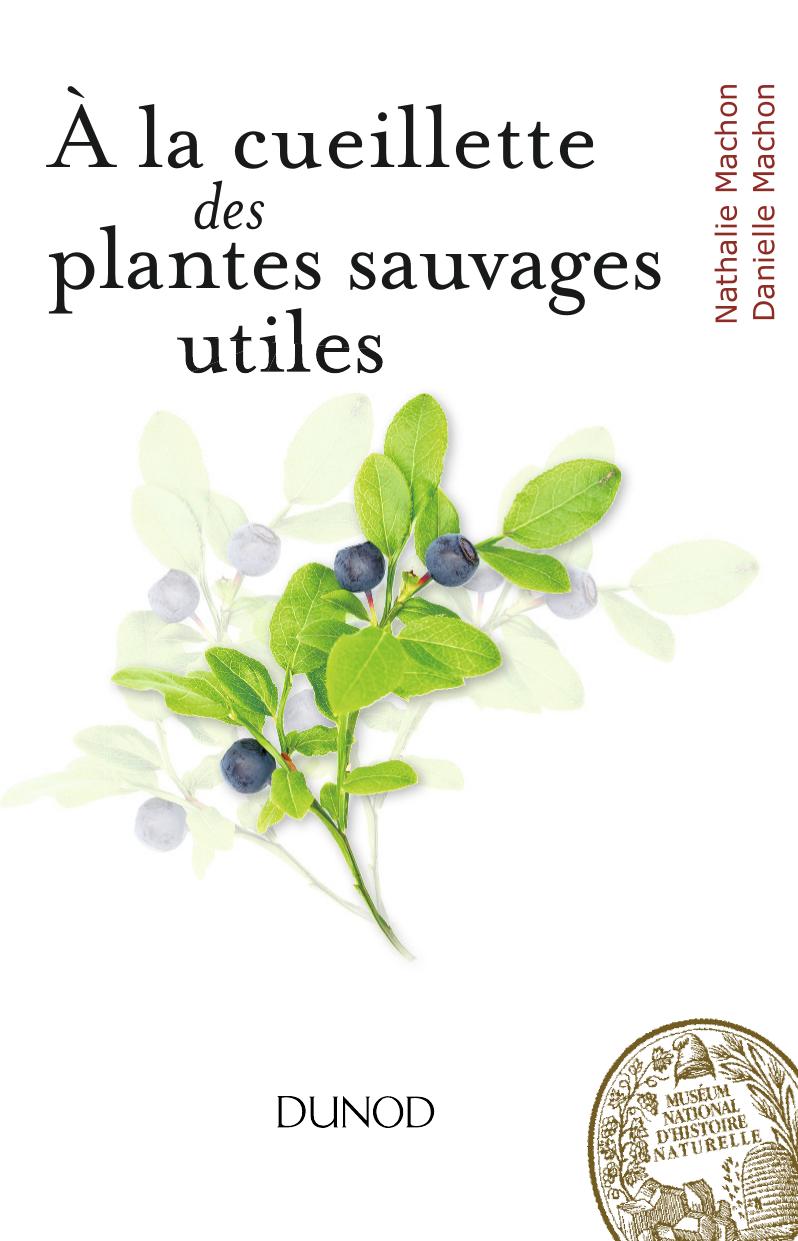 À la cueillette des plantes sauvages utiles