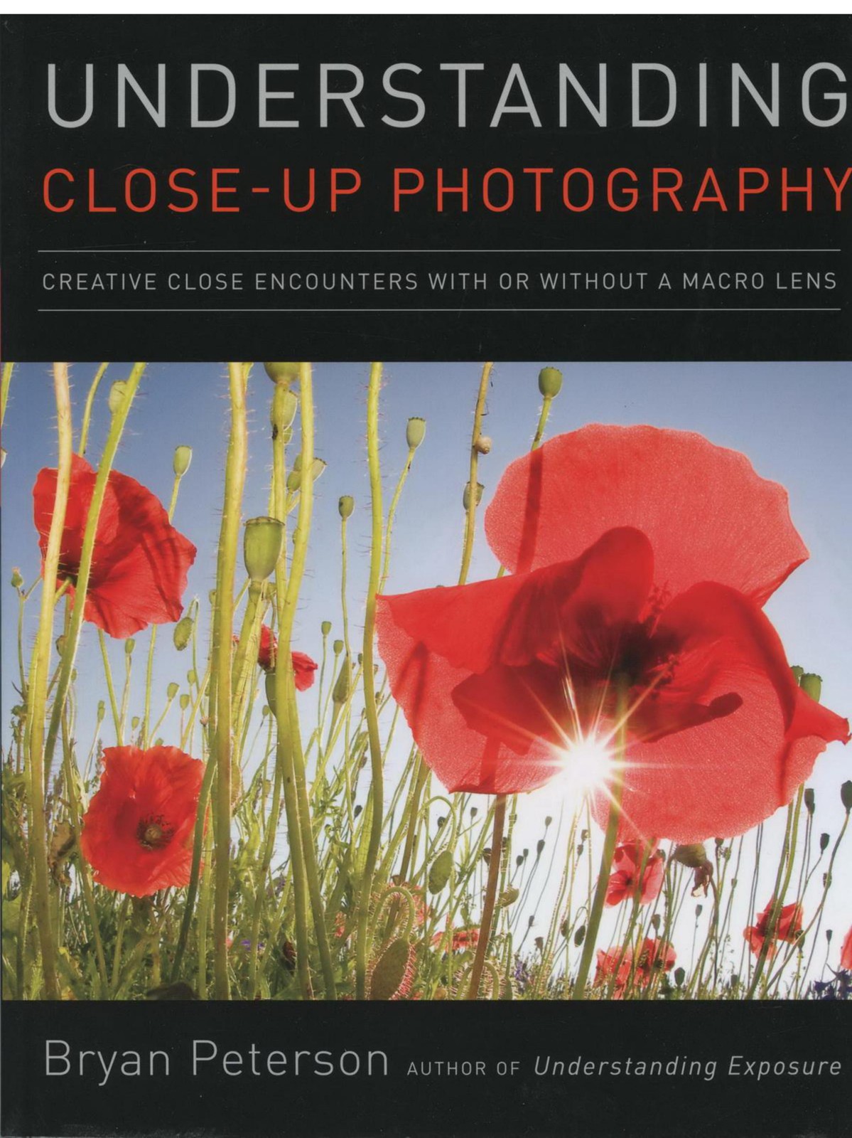 Understanding Close-Up Photography