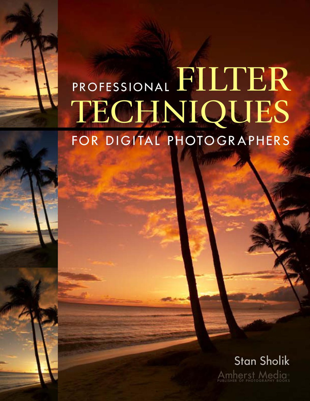 Professional Filter Techniques for Digital Photographers