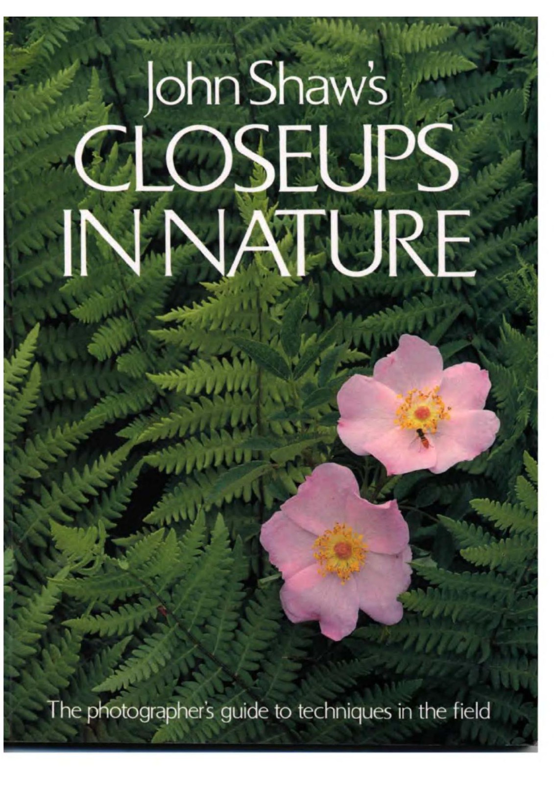 Closeups in Nature