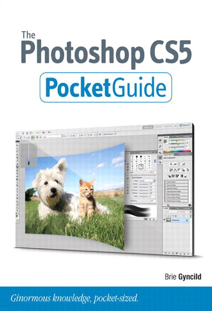 The Photoshop CS5
