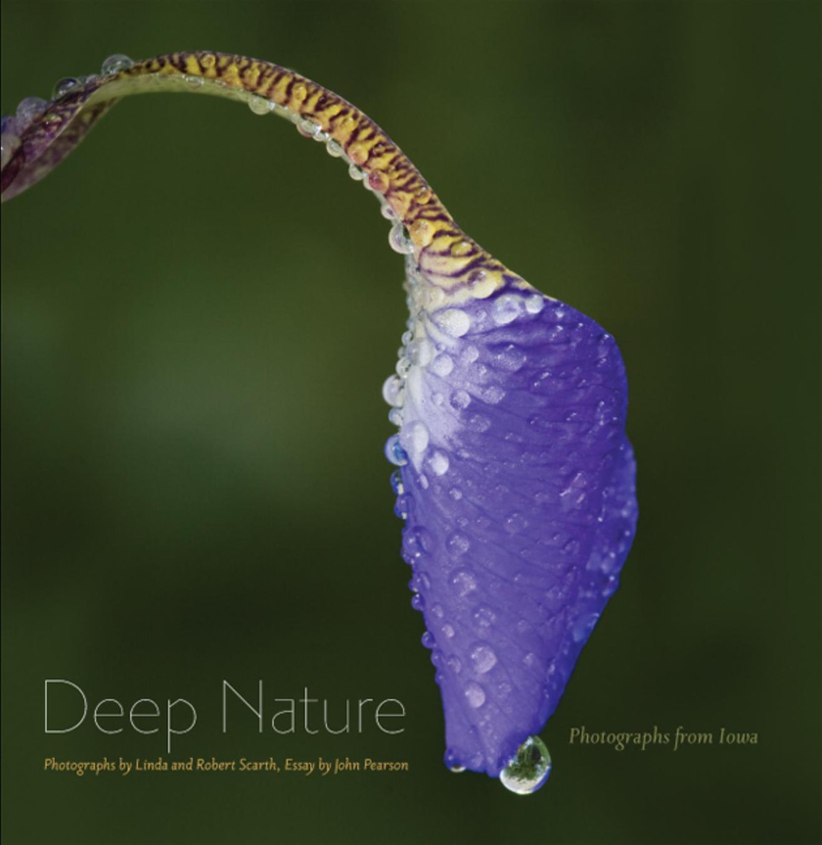Deep Nature: Photographs From Iowa