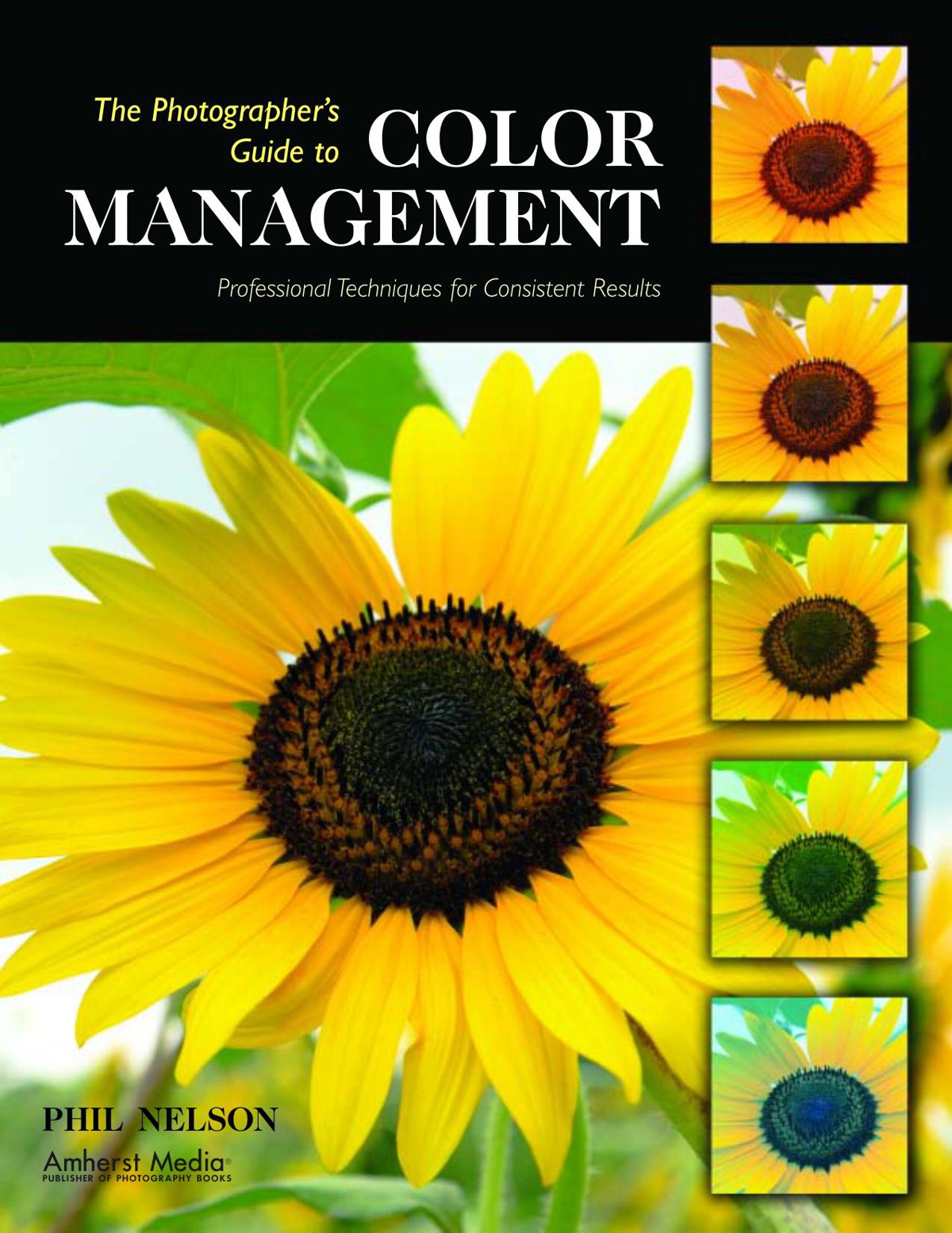 The Photographer's Guide to Color Management: Professional Techniques for Consistent Results