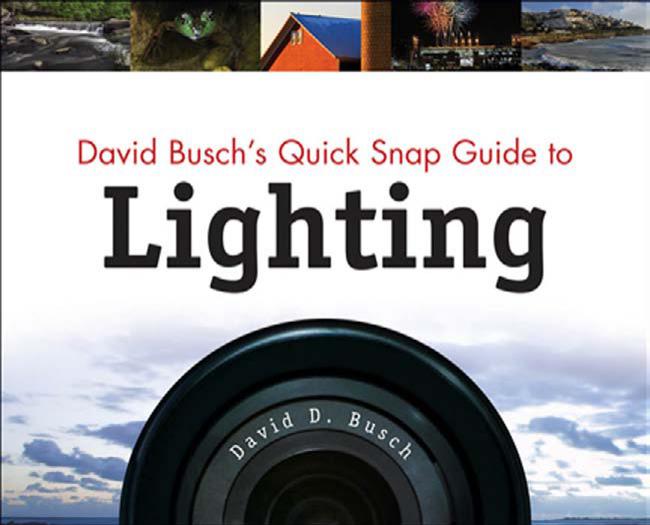 David Busch's Quick Snap Guide to Lighting