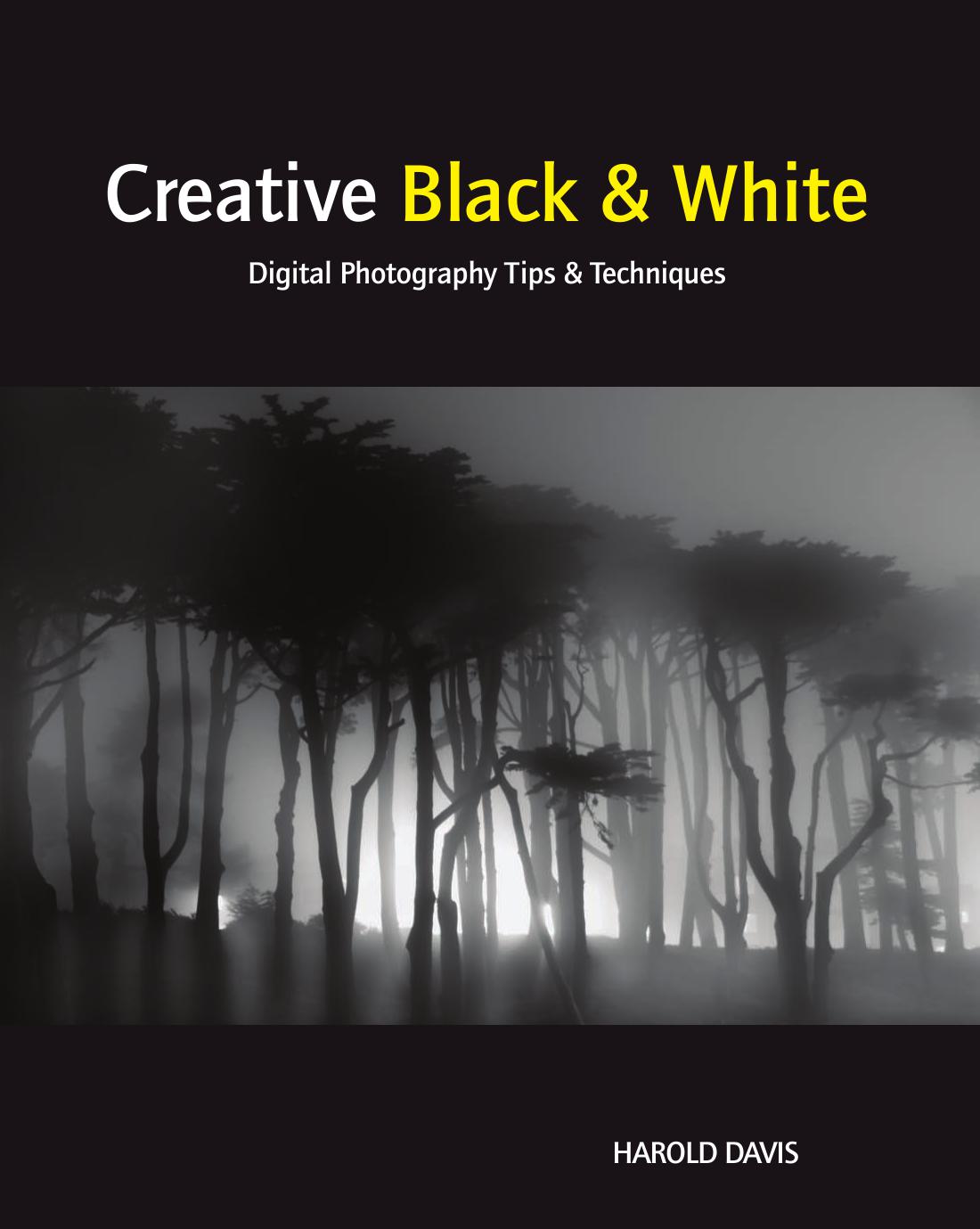 Creative Black and White: Digital Photography Tips and Techniques.
