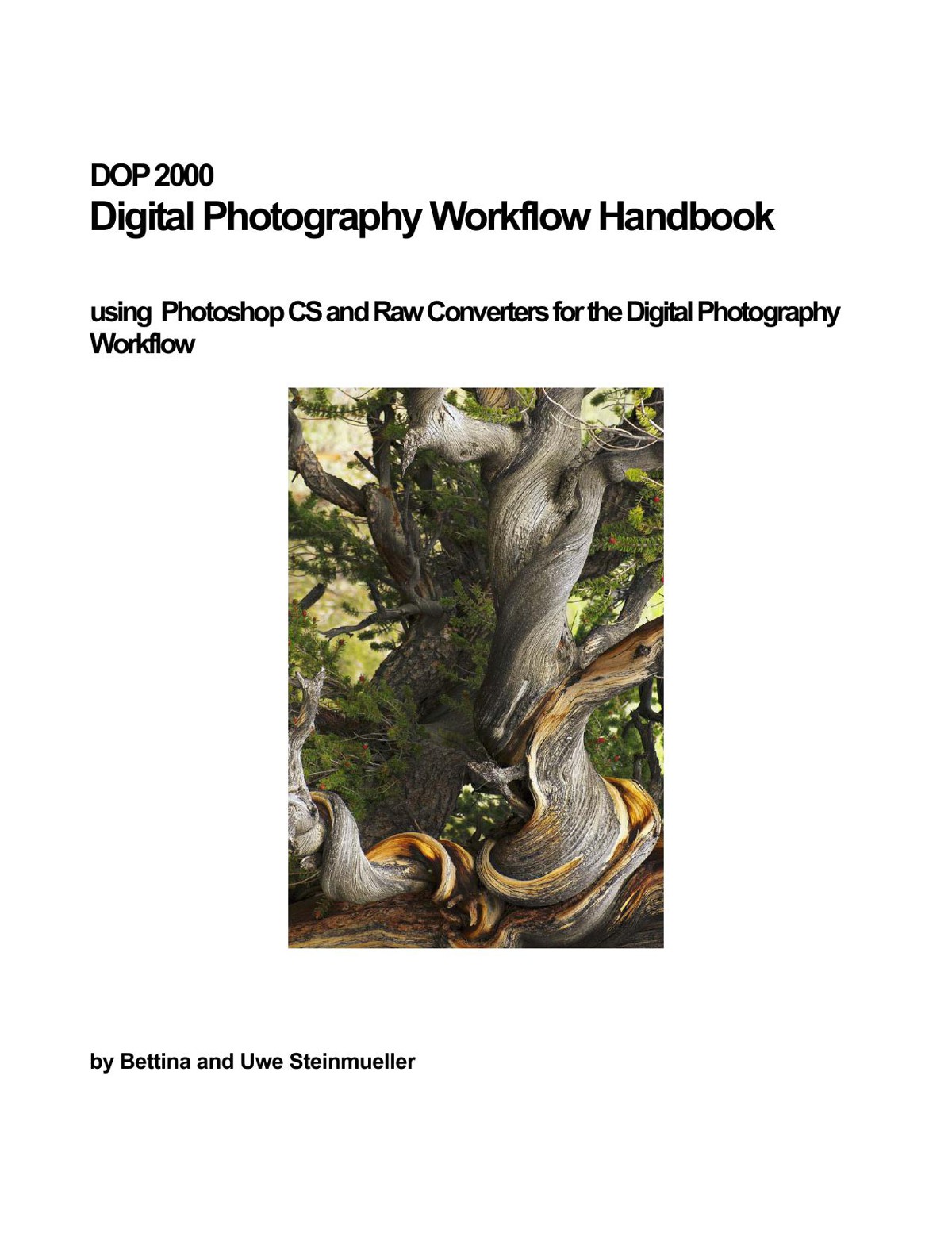 Managing the RAW File Workflow for the Canon D60/1D